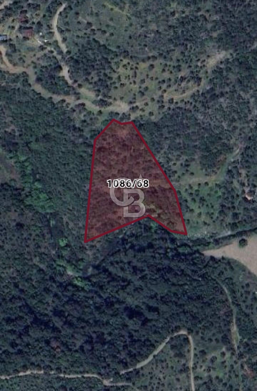 GÜZELBAHÇE PAYAMLI’DA SATILIK TARLA 12695 m