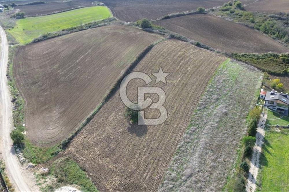 Çatalca inceğiz’de imar planları içinde 5002 m2 satılık arsa