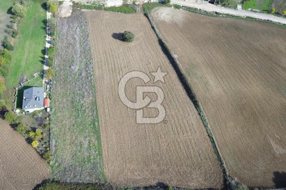 Çatalca inceğiz’de imar planları içinde 5002 m2 satılık arsa