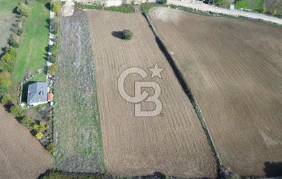 Çatalca inceğiz’de imar planları içinde 5002 m2 satılık arsa