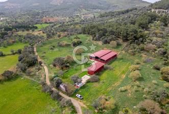 YELKİ'DE ANACADDEYE YAKIN 2897 M2 ARSA