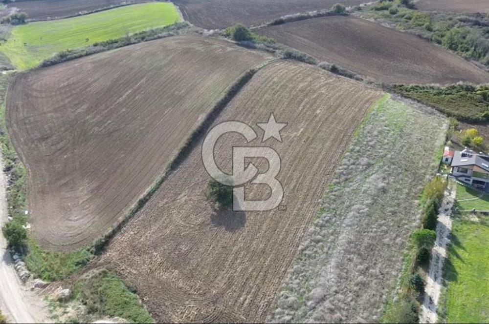 Çatalca inceğiz’de imar planları içinde 5002 m2 satılık arsa