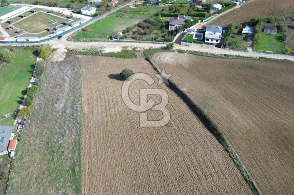 Çatalca inceğiz’de imar planları içinde 5002 m2 satılık arsa