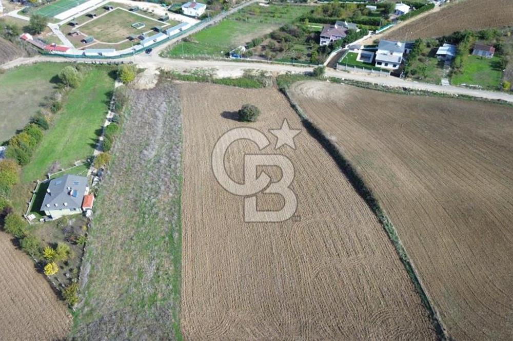 Çatalca inceğiz’de imar planları içinde 5002 m2 satılık arsa