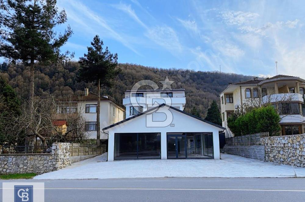 SAPANCA YOLU ÜZERİNDE 8+1 VİLLA VE DÜKKANI SATILIKTIR
