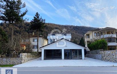 SAPANCA YOLU ÜZERİNDE 8+1 VİLLA VE DÜKKANI SATILIKTIR