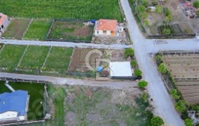 TAPULU, İMARA SINIR Cadde Kenarı Eksiksiz 319 m2 Hobi Bahçesi