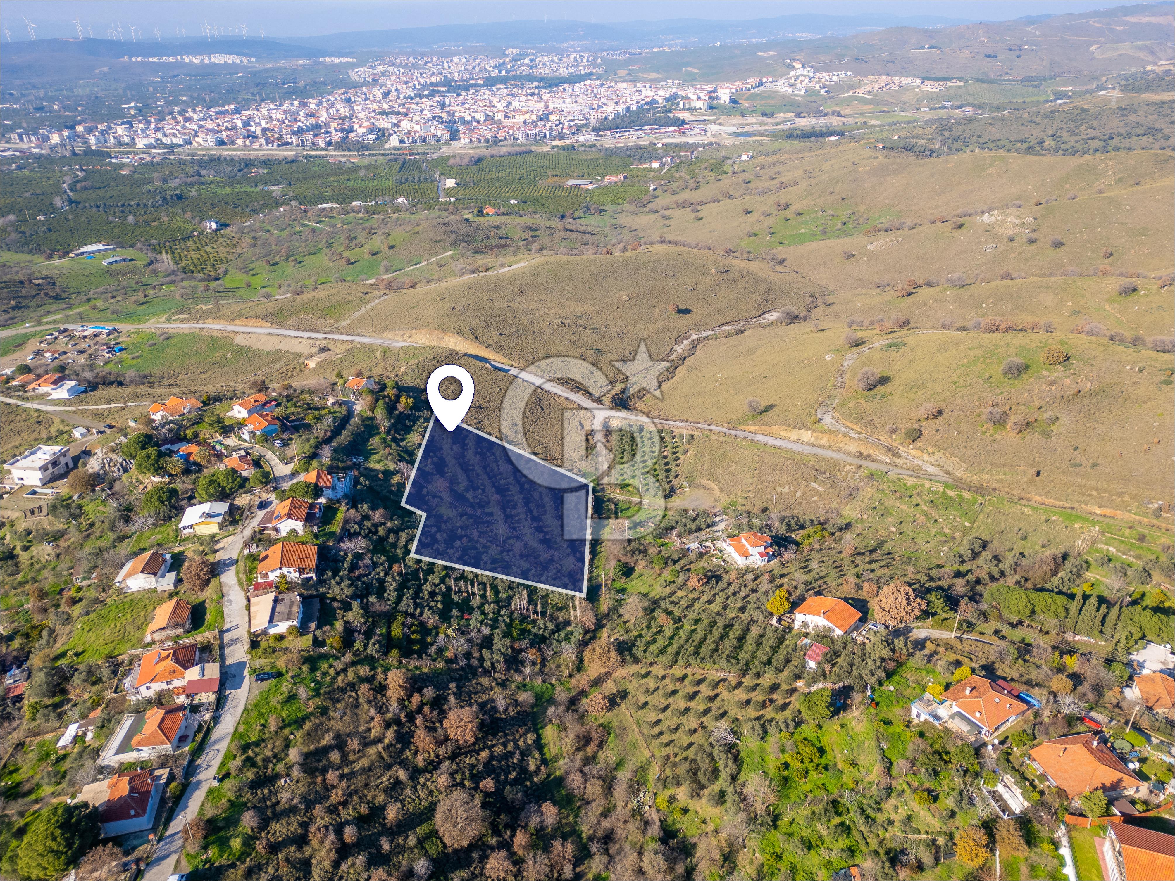 SİTE YAPMAYA UYGUN 12 VİLLALIK ARSA