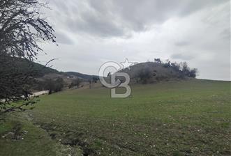 BURSA KELES ESKİ KOCAYAYLA YOLU SATILIK TARLA