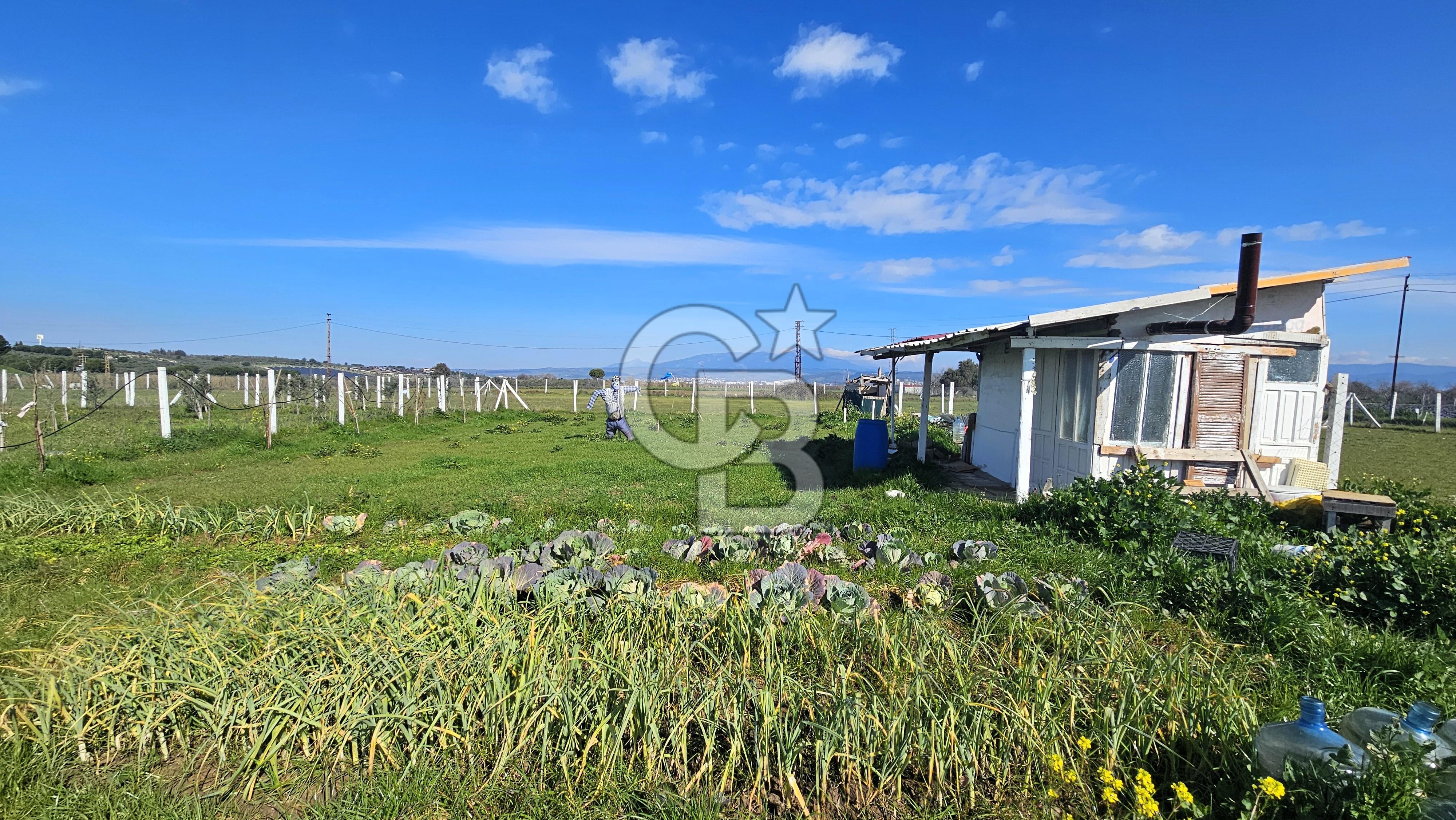 İZMİR TORBALI'DA 800 m2 SATILIK YAŞAM VE YATIRIM BAHÇESİ