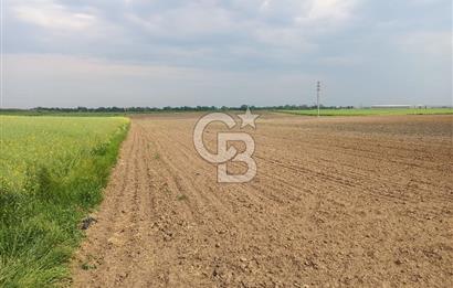 Tekirdağ Ergene Ulaş'ta Satılık 15600 M2 Sanayi Arsası