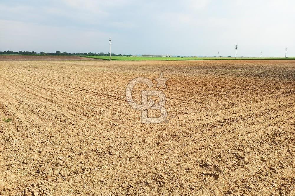 Tekirdağ Ergene Ulaş'ta Satılık 15600 M2 Sanayi Arsası