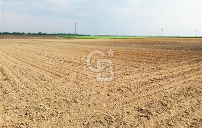 Tekirdağ Ergene Ulaş'ta Satılık 15600 M2 Sanayi Arsası