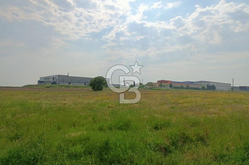 Tekirdağ Ergene Ulaş'ta Satılık 15600 M2 Sanayi Arsası