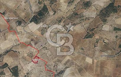 Çal Sazak da Satılık 4.240 M²Arazi