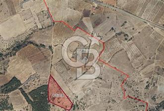 Çal Sazak da Satılık 8.692 M²Arazi 