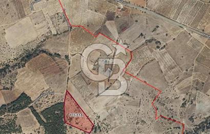 Çal Sazak da Satılık 8.692 M²Arazi 