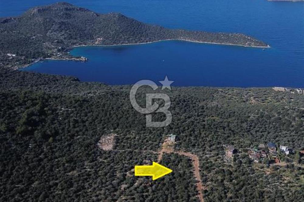 CB ARDEN EMLAK'TAN ANTALYA KAŞ BAYINDIR'DA SATILIK 3938 M2