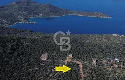 CB ARDEN EMLAK'TAN ANTALYA KAŞ BAYINDIR'DA SATILIK 3938 M2