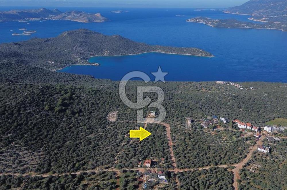 CB ARDEN EMLAK'TAN ANTALYA KAŞ BAYINDIR'DA SATILIK 3938 M2