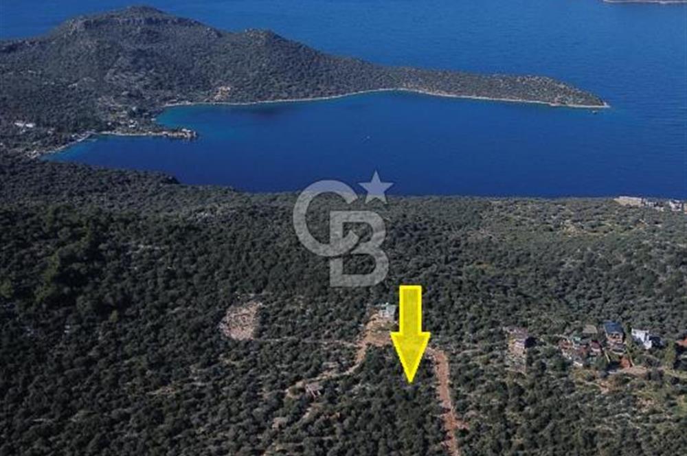 CB ARDEN EMLAK'TAN ANTALYA KAŞ BAYINDIR'DA SATILIK 3938 M2