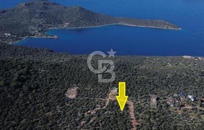 CB ARDEN EMLAK'TAN ANTALYA KAŞ BAYINDIR'DA SATILIK 3938 M2