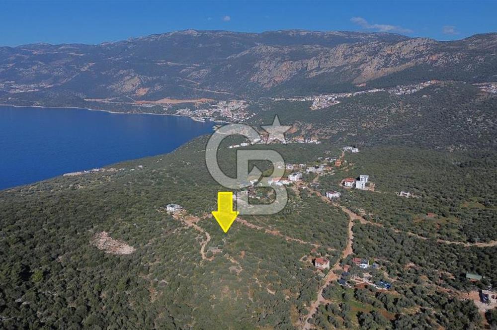 CB ARDEN EMLAK'TAN ANTALYA KAŞ BAYINDIR'DA SATILIK 3938 M2
