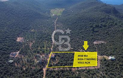 CB ARDEN EMLAK'TAN ANTALYA KAŞ BAYINDIR'DA SATILIK 3938 M2