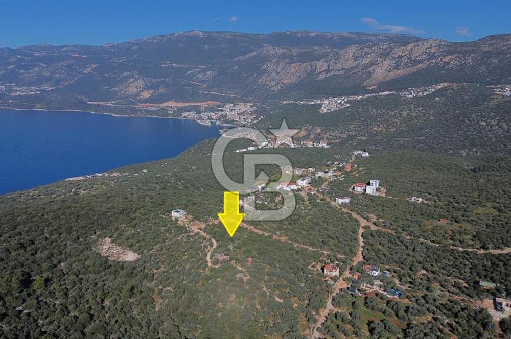 CB ARDEN EMLAK'TAN ANTALYA KAŞ BAYINDIR'DA SATILIK 3938 M2