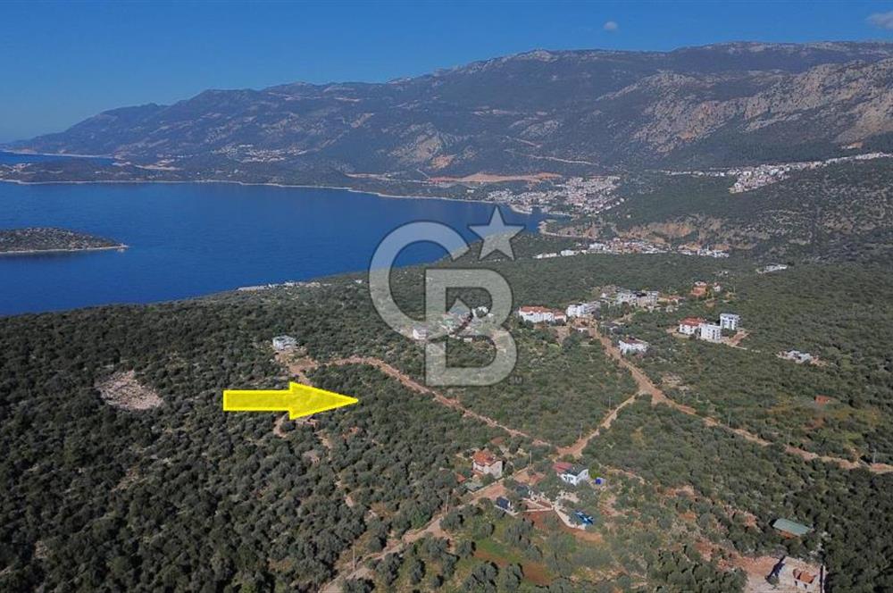 CB ARDEN EMLAK'TAN ANTALYA KAŞ BAYINDIR'DA SATILIK 3938 M2