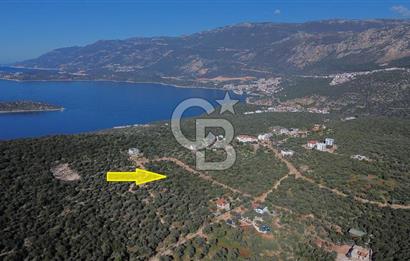 CB ARDEN EMLAK'TAN ANTALYA KAŞ BAYINDIR'DA SATILIK 3938 M2