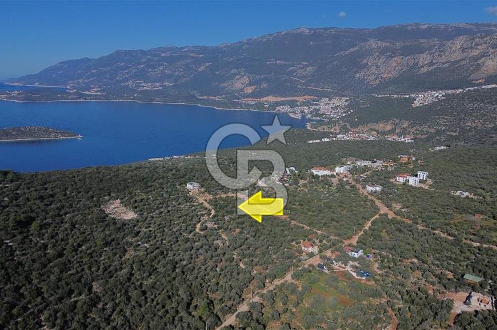CB ARDEN EMLAK'TAN ANTALYA KAŞ BAYINDIR'DA SATILIK 3938 M2
