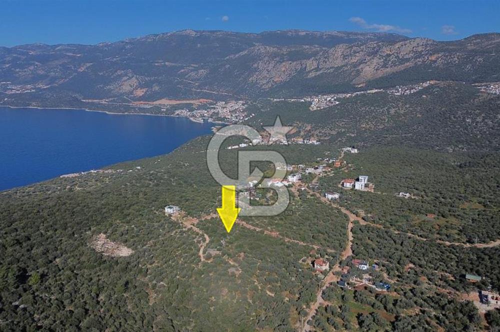 CB ARDEN EMLAK'TAN ANTALYA KAŞ BAYINDIR'DA SATILIK 3938 M2