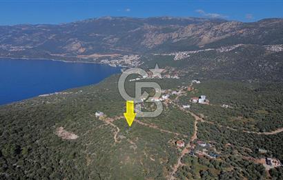 CB ARDEN EMLAK'TAN ANTALYA KAŞ BAYINDIR'DA SATILIK 3938 M2