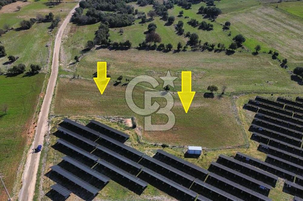 CB ARDEN EMLAK'TAN ANTALYA KAŞ SATILIK 5882 M2 YOL KENARI TARLA