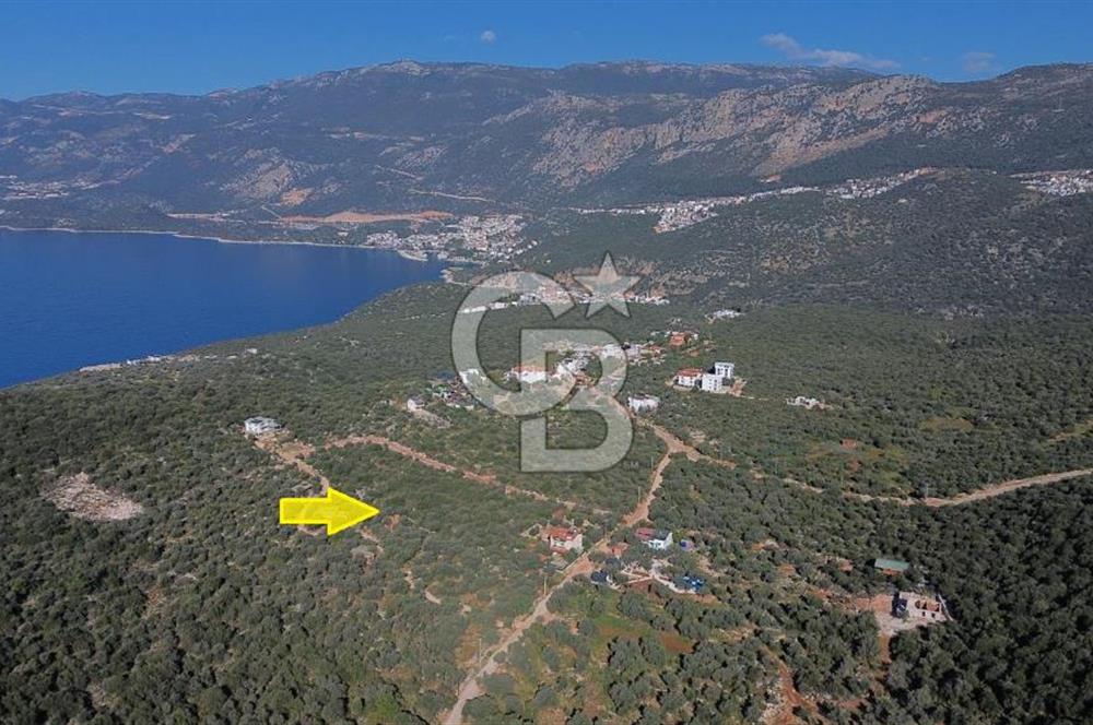 CB ARDEN EMLAK'TAN ANTALYA KAŞ BAYINDIR'DA SATILIK 3938 M2