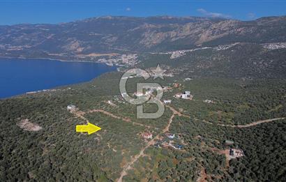 CB ARDEN EMLAK'TAN ANTALYA KAŞ BAYINDIR'DA SATILIK 3938 M2