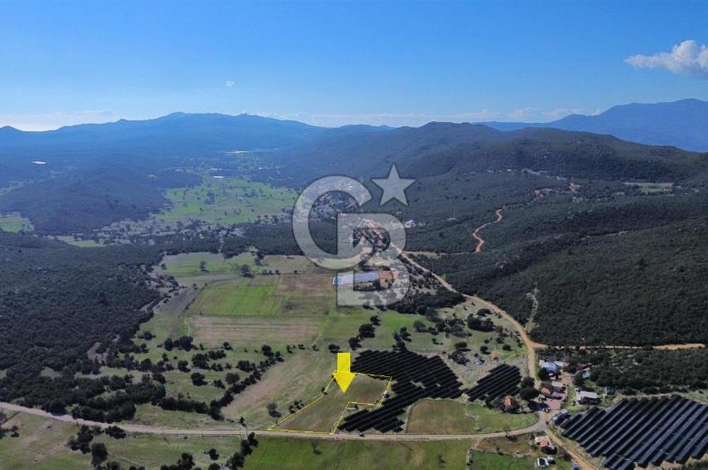 CB ARDEN EMLAK'TAN ANTALYA KAŞ SATILIK 5882 M2 YOL KENARI TARLA