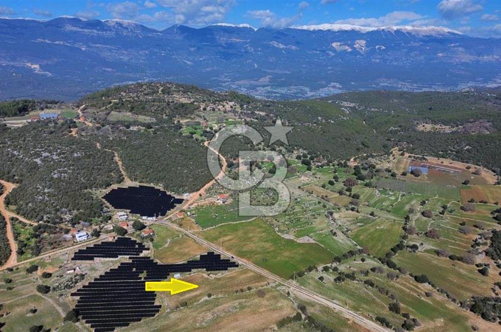 CB ARDEN EMLAK'TAN ANTALYA KAŞ SATILIK 5882 M2 YOL KENARI TARLA