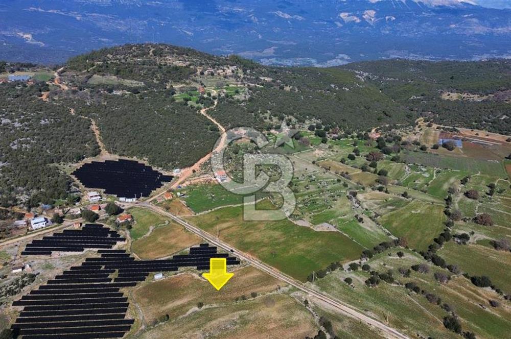 CB ARDEN EMLAK'TAN ANTALYA KAŞ SATILIK 5882 M2 YOL KENARI TARLA