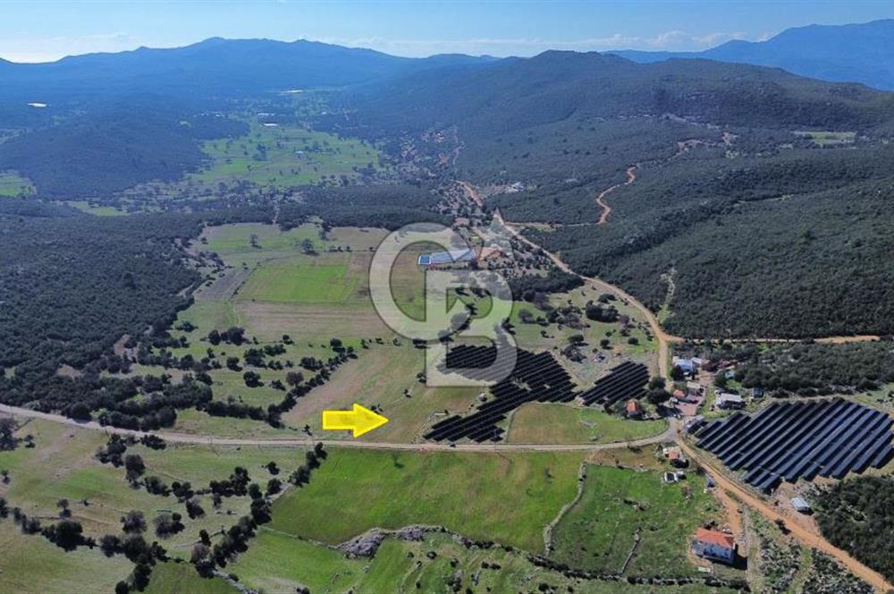 CB ARDEN EMLAK'TAN ANTALYA KAŞ SATILIK 5882 M2 YOL KENARI TARLA