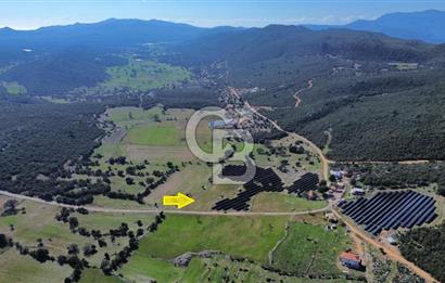 CB ARDEN EMLAK'TAN ANTALYA KAŞ SATILIK 5882 M2 YOL KENARI TARLA