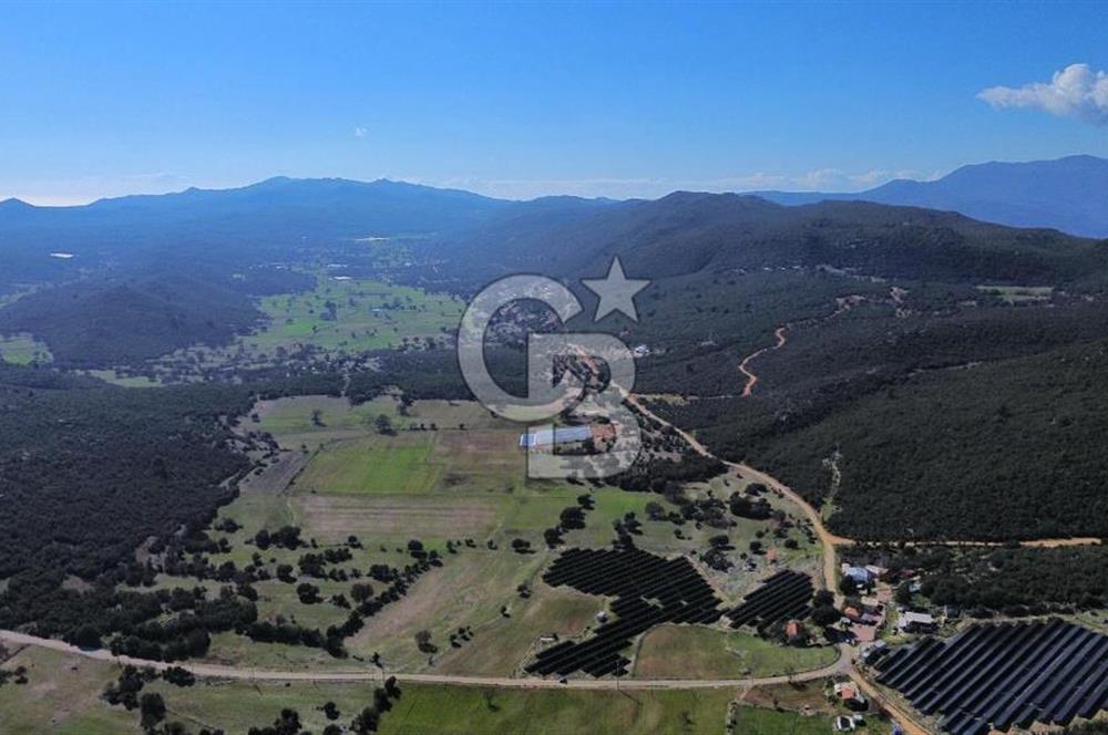 CB ARDEN EMLAK'TAN ANTALYA KAŞ SATILIK 5882 M2 YOL KENARI TARLA
