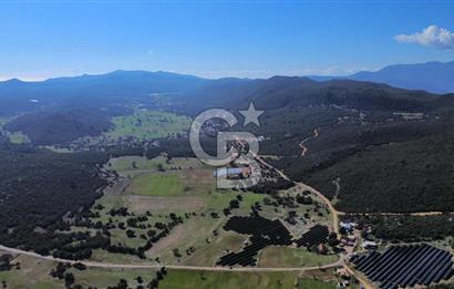 CB ARDEN EMLAK'TAN ANTALYA KAŞ SATILIK 5882 M2 YOL KENARI TARLA