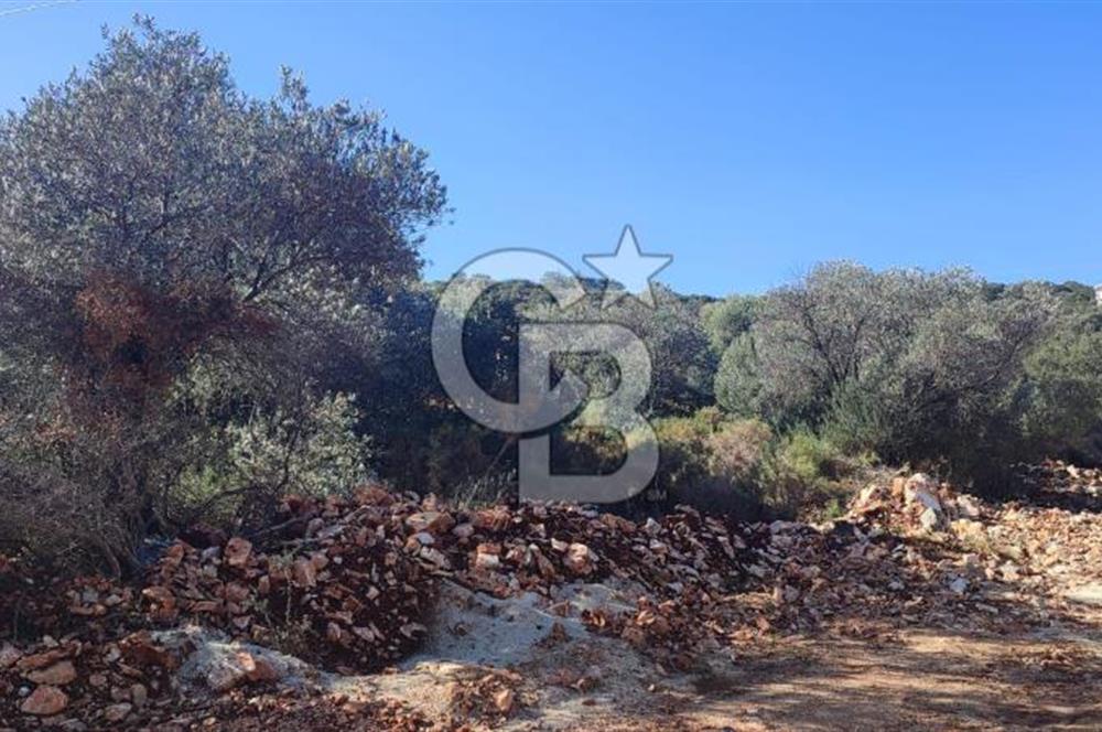 CB ARDEN EMLAK'TAN ANTALYA KAŞ BAYINDIR'DA SATILIK 3938 M2