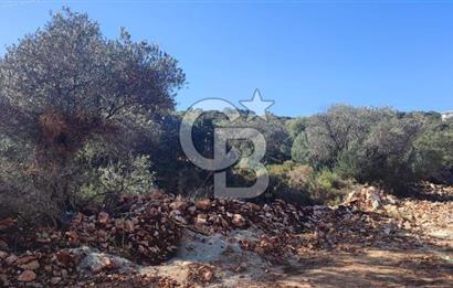 CB ARDEN EMLAK'TAN ANTALYA KAŞ BAYINDIR'DA SATILIK 3938 M2