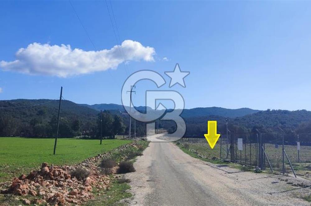 CB ARDEN EMLAK'TAN ANTALYA KAŞ SATILIK 5882 M2 YOL KENARI TARLA