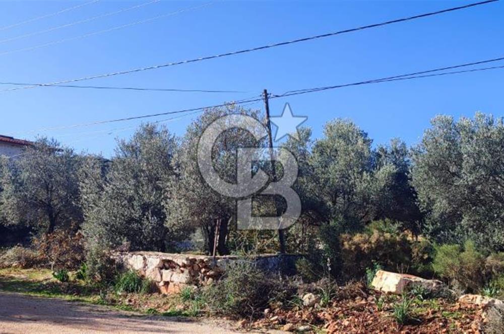 CB ARDEN EMLAK'TAN ANTALYA KAŞ BAYINDIR'DA SATILIK 3938 M2