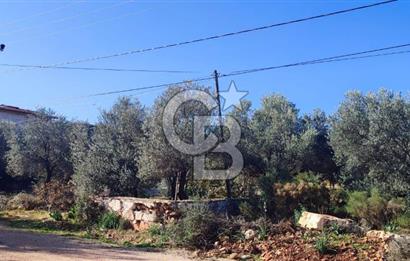 CB ARDEN EMLAK'TAN ANTALYA KAŞ BAYINDIR'DA SATILIK 3938 M2