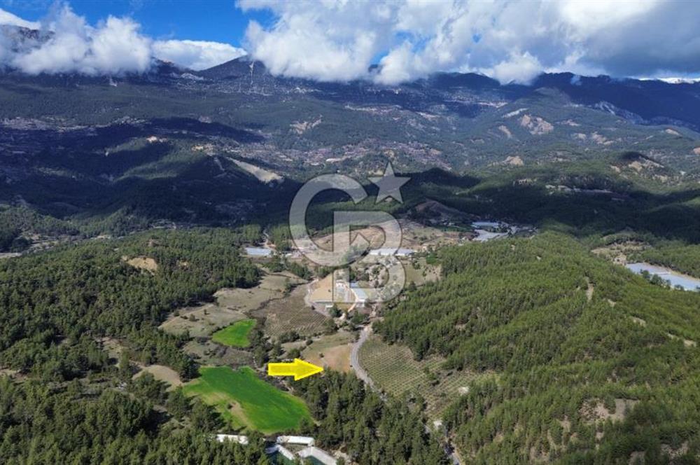 CB ARDEN EMLAK'TAN ANTALYA KAŞ SATILIK 18700 M2 TARLA